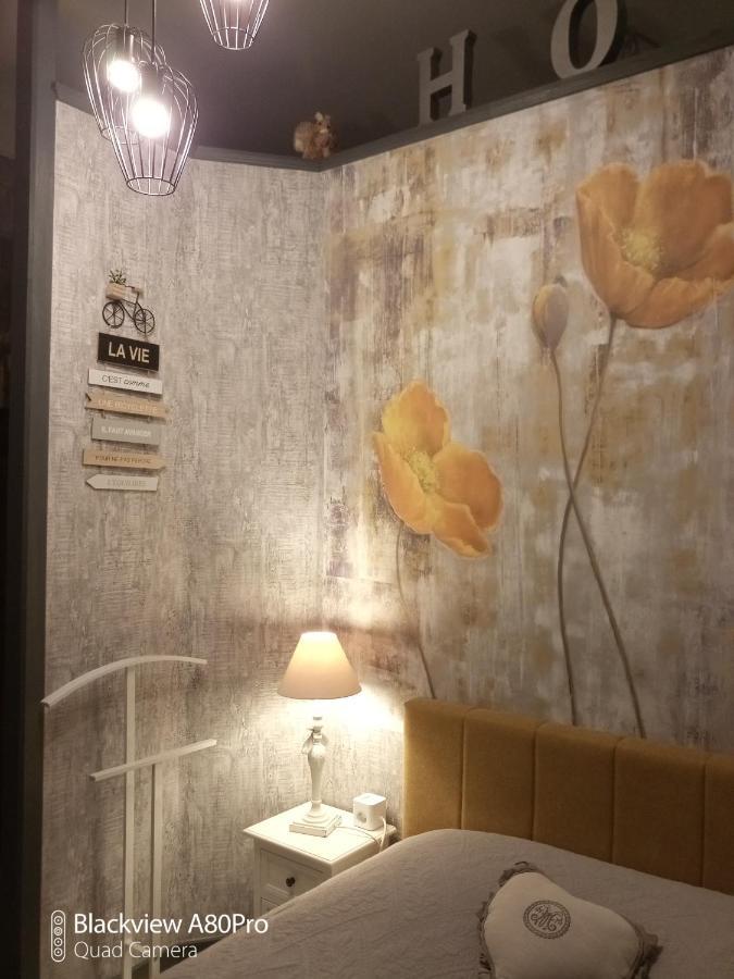 Studio Malou, Cuisine, Salle D'Eau, Terrasse Amenagee Olliergues Екстер'єр фото