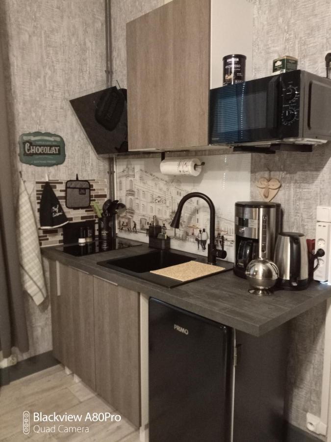 Studio Malou, Cuisine, Salle D'Eau, Terrasse Amenagee Olliergues Екстер'єр фото